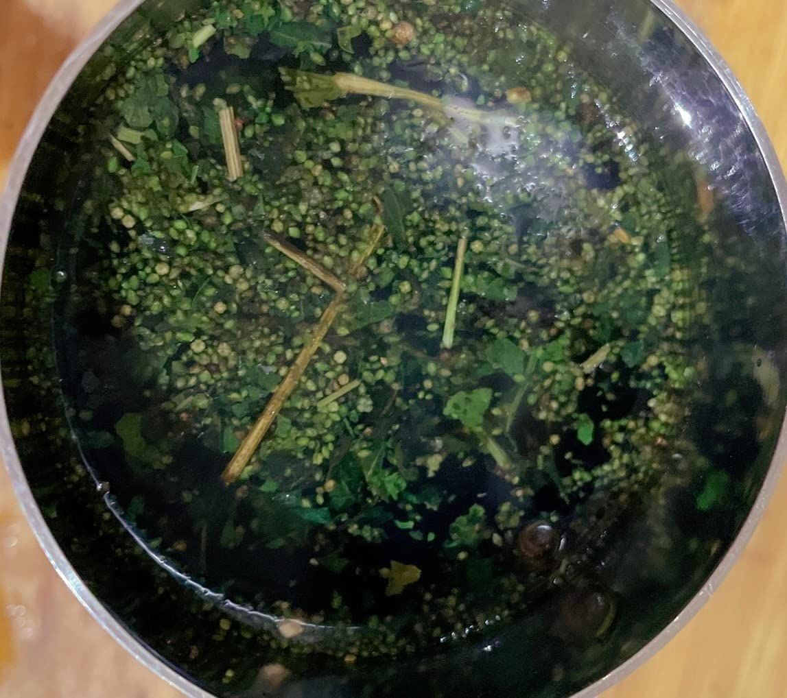 Tisane ortie bio 100 g infusion détox et reminéralisante