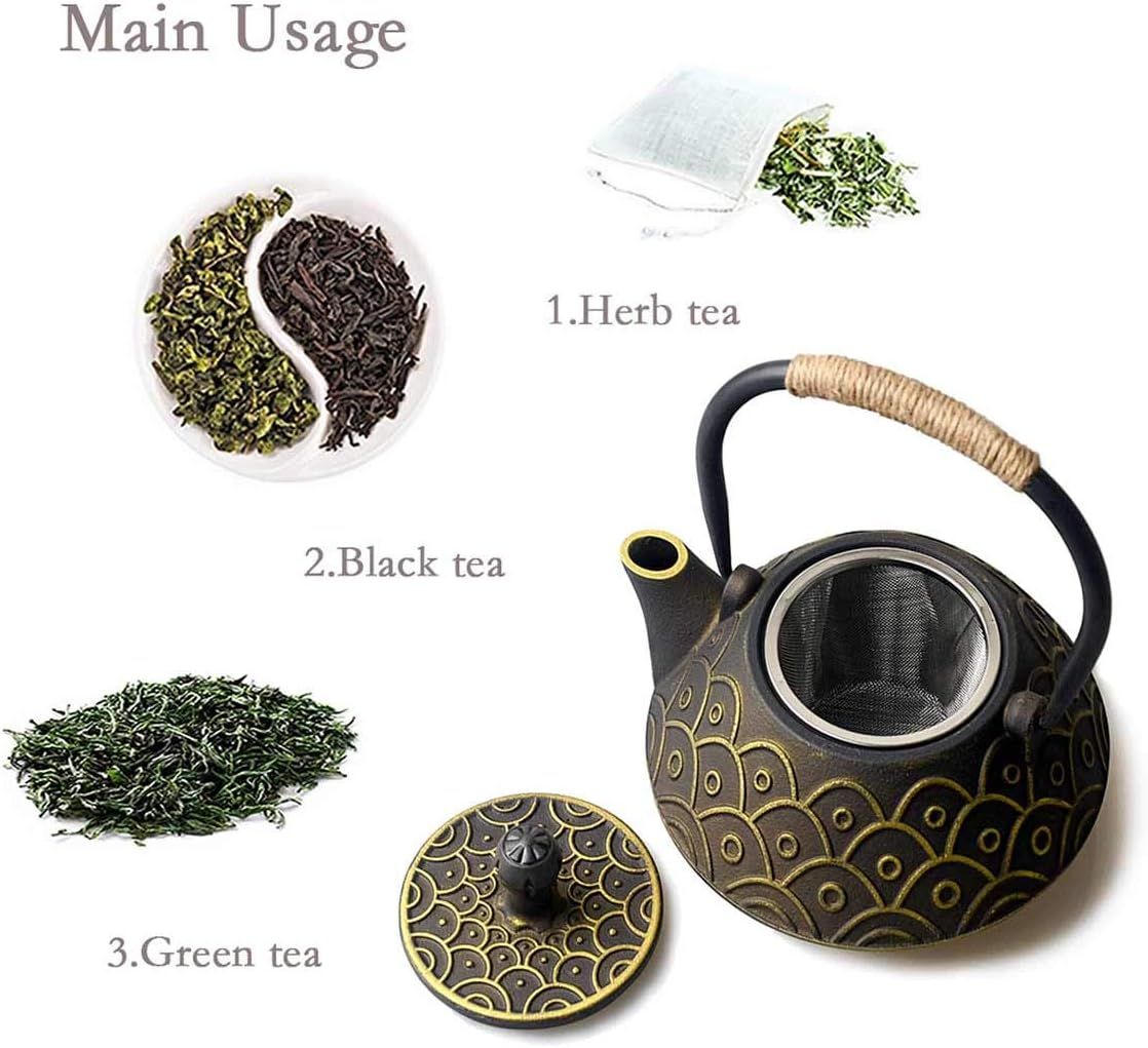 HwaGui Théière en Fonte emaillee Japonaise et Filtre en Acier Inoxydable, écailles de Poisson Classiques 800 ML / 25 oz