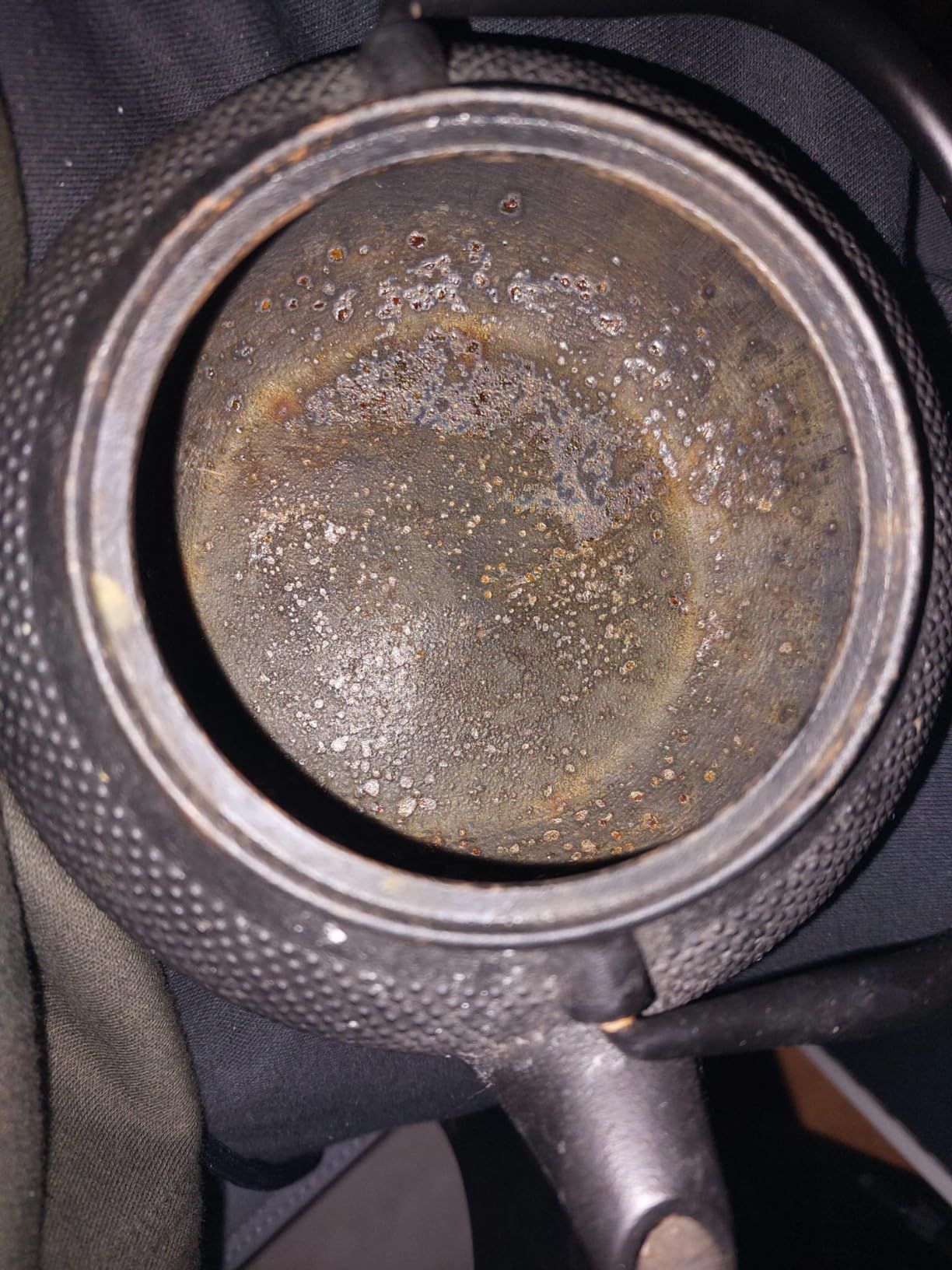 HwaGui Théière en Fonte emaillee Japonaise et Filtre en Acier Inoxydable, écailles de Poisson Classiques 800 ML / 25 oz