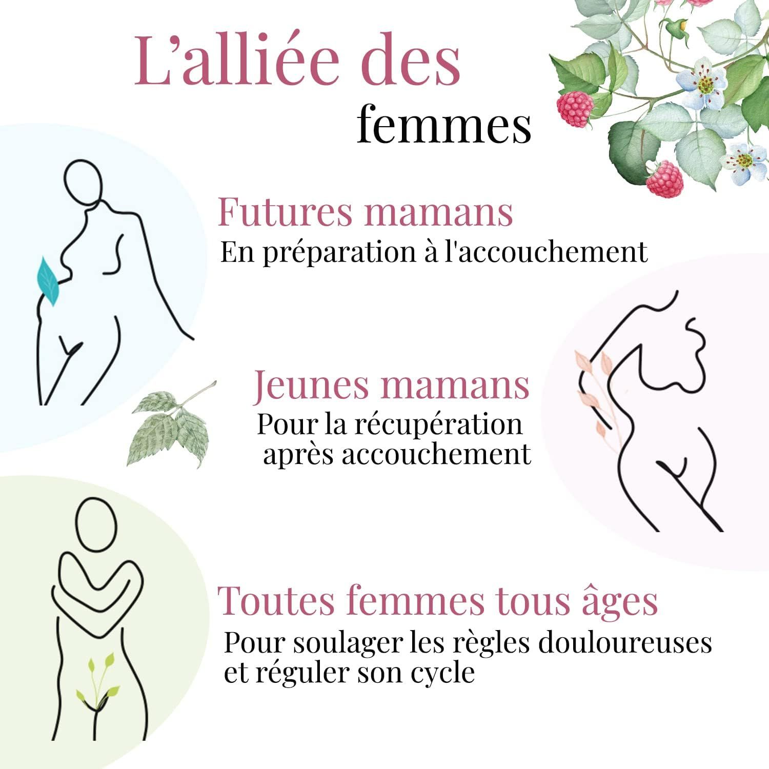 Fleurs d'hibiscus séchées bio pour infusion 250 g