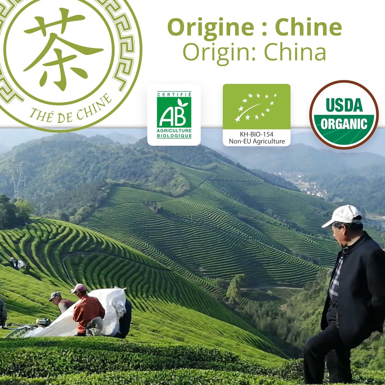 thé oolong bio alishan taïwanais tie guan yin