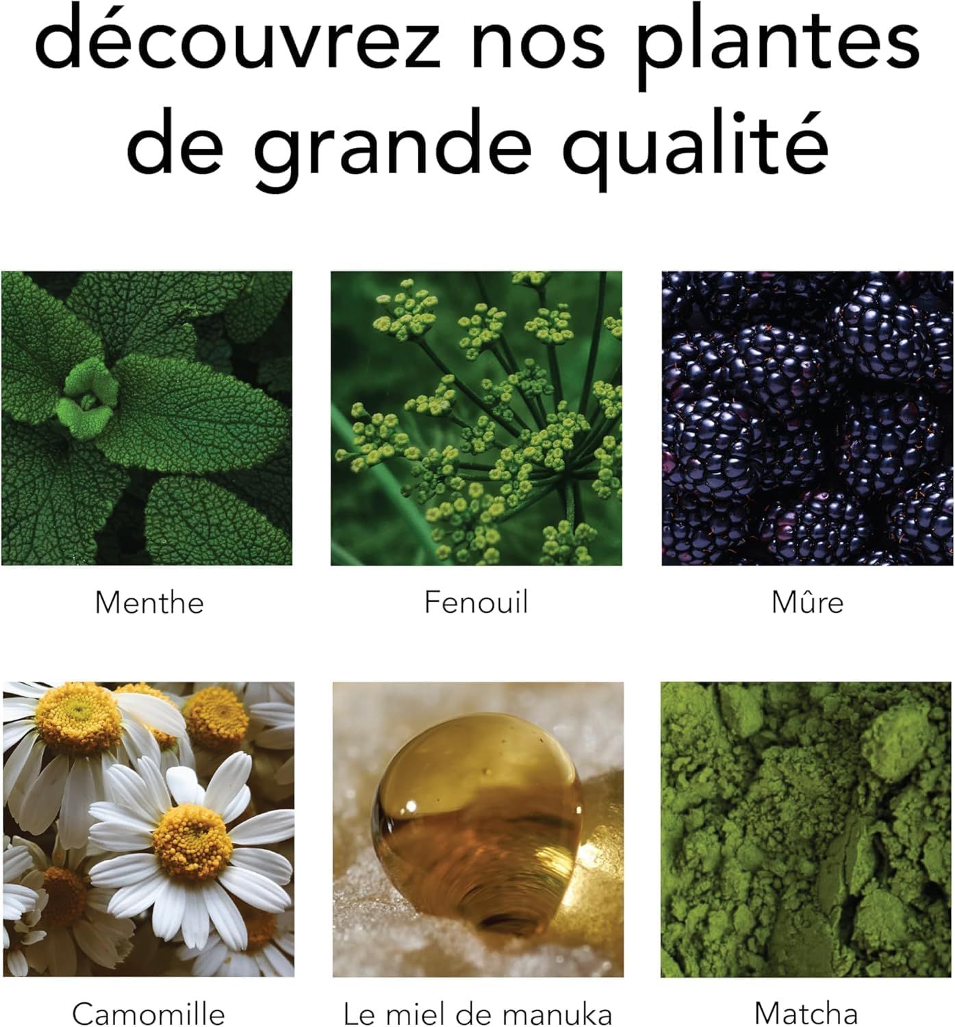 Sachets de thé déca pyramidaux PG Tips - Pack de 3