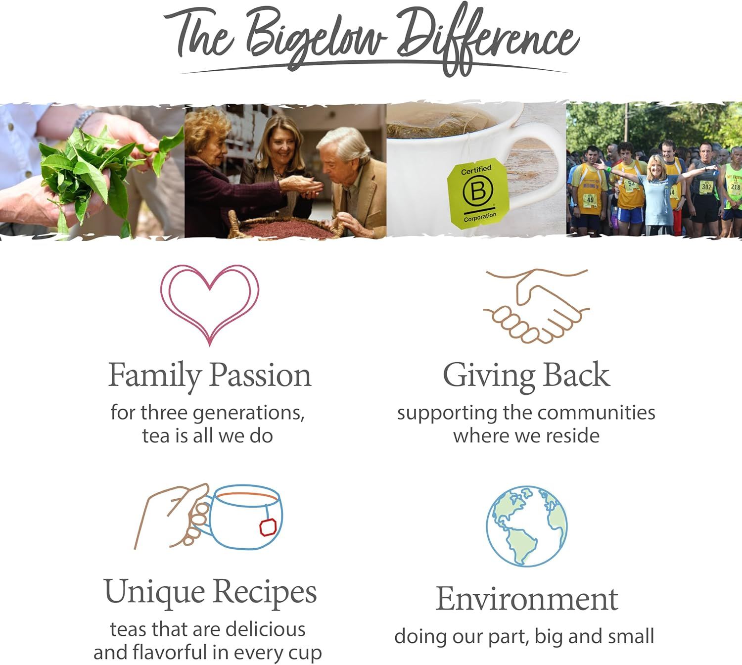 Thé au ginseng et maca pour énergie et bien-être