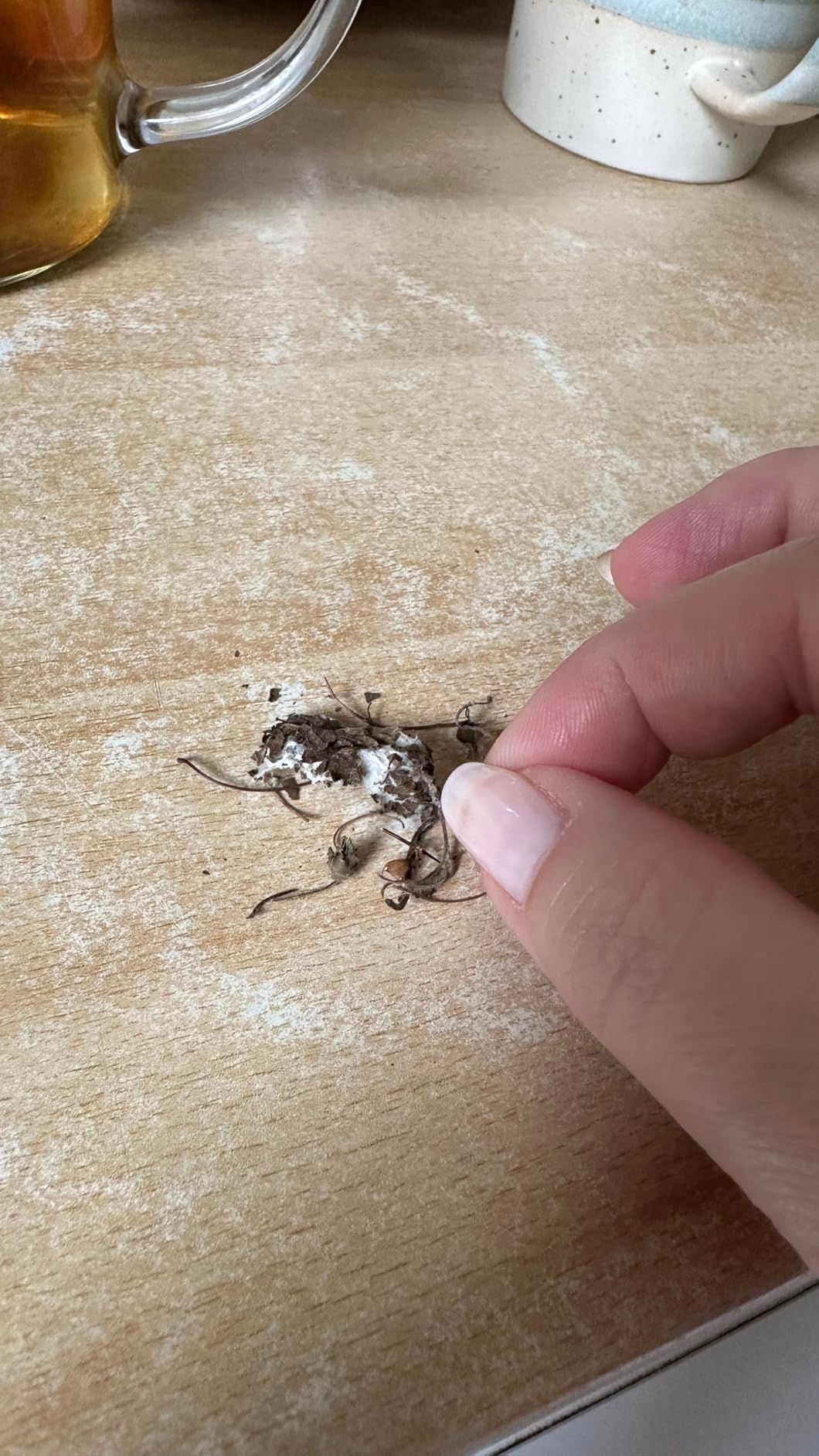 Tisane mélisse bio 100 g - infusion digestive et relaxante