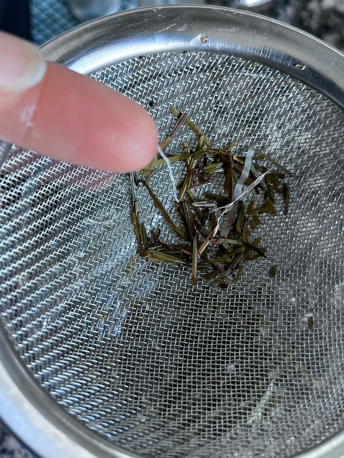 Infusion d'aiguilles de pin séchées 100g