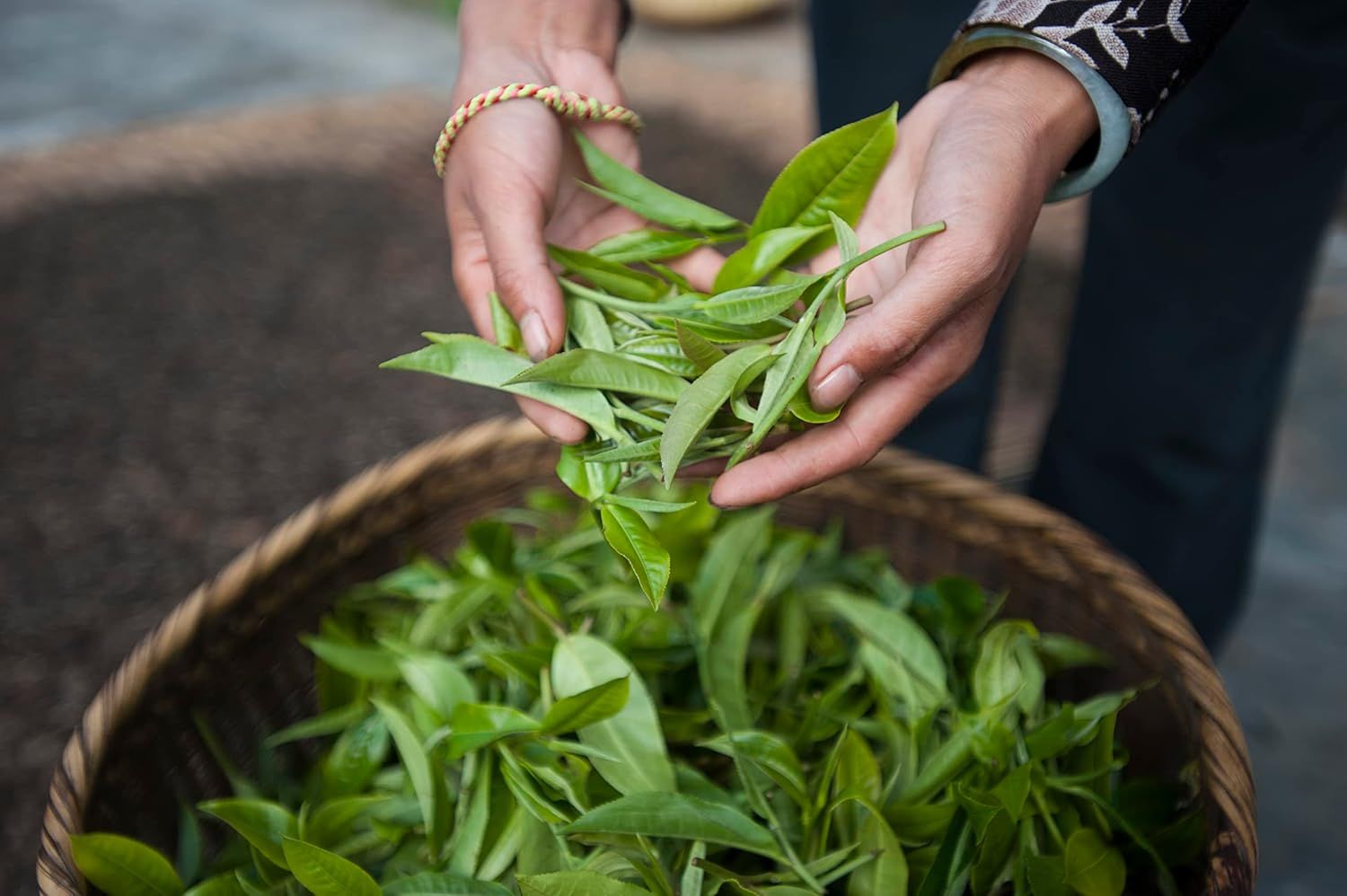 Infusion détox curcuma gingembre 100% naturelle sans théine