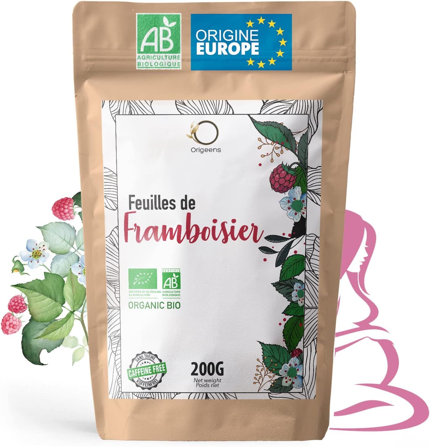 Plongez dans l'univers du thé avec Brahma Tea