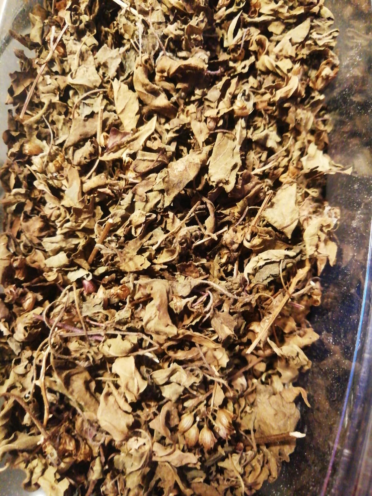 Tisane mélisse bio 100 g - infusion digestive et relaxante