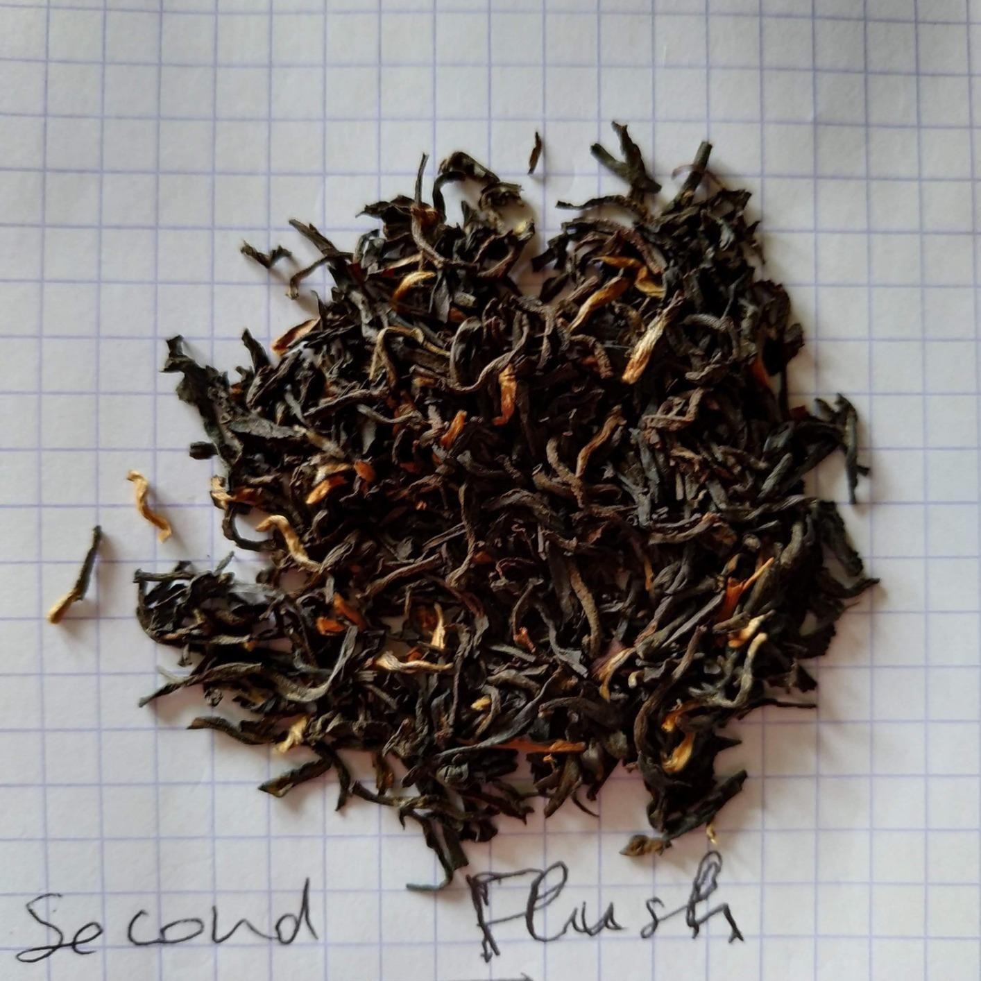 Thé noir bio darjeeling first flush 250g en vrac