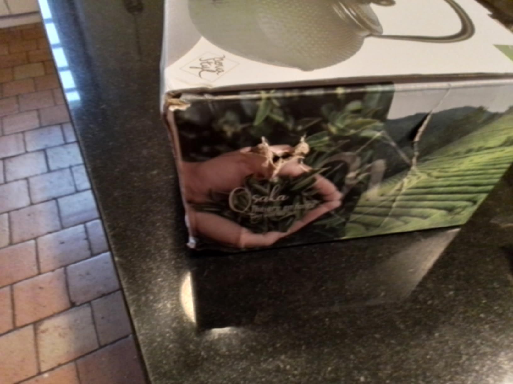 NOVASTYL – Théière en fonte noire OSAKA – 1,5L - Inspirée de l'art japonais - 7321423