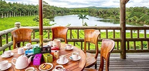 thé vert bio gingembre citron kusmi tea - boîte 100g