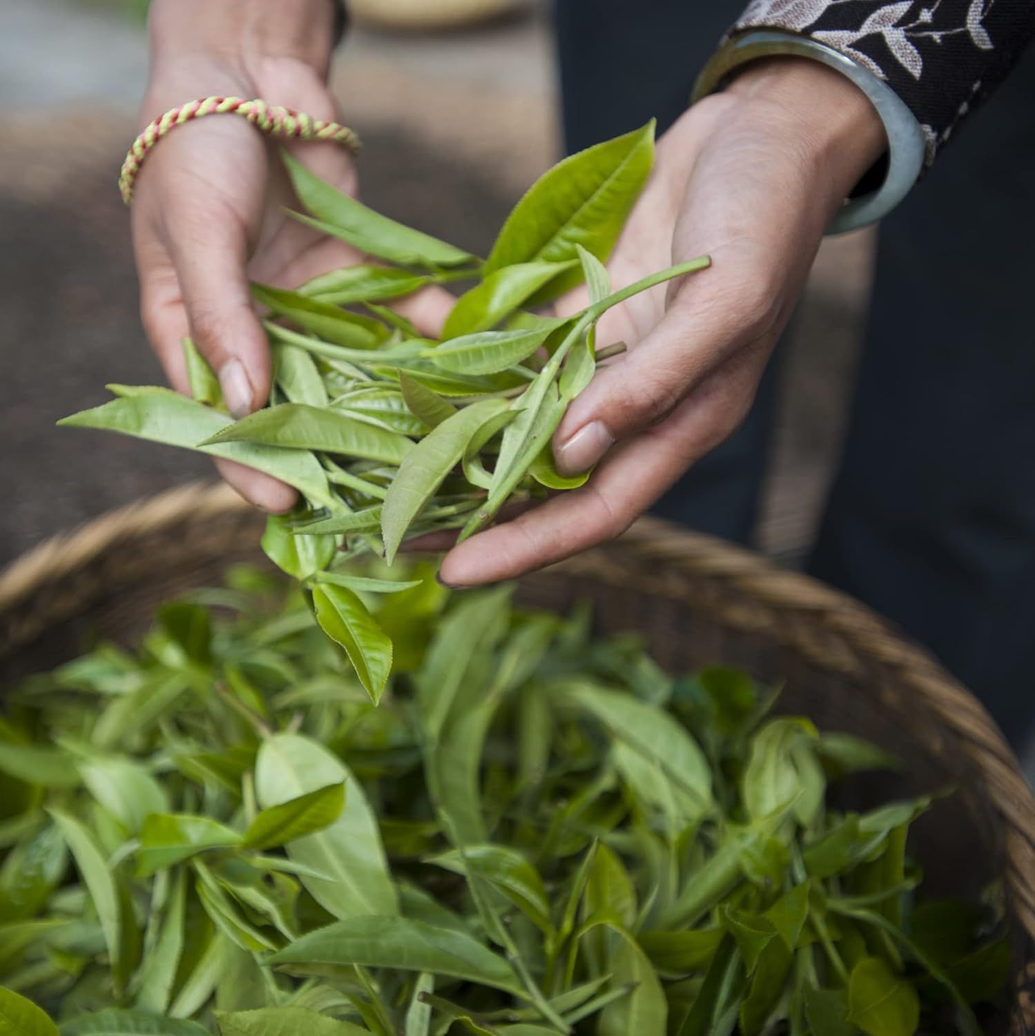 Infusion frissons d'hiver cannelle et thym Les 2 Marmottes