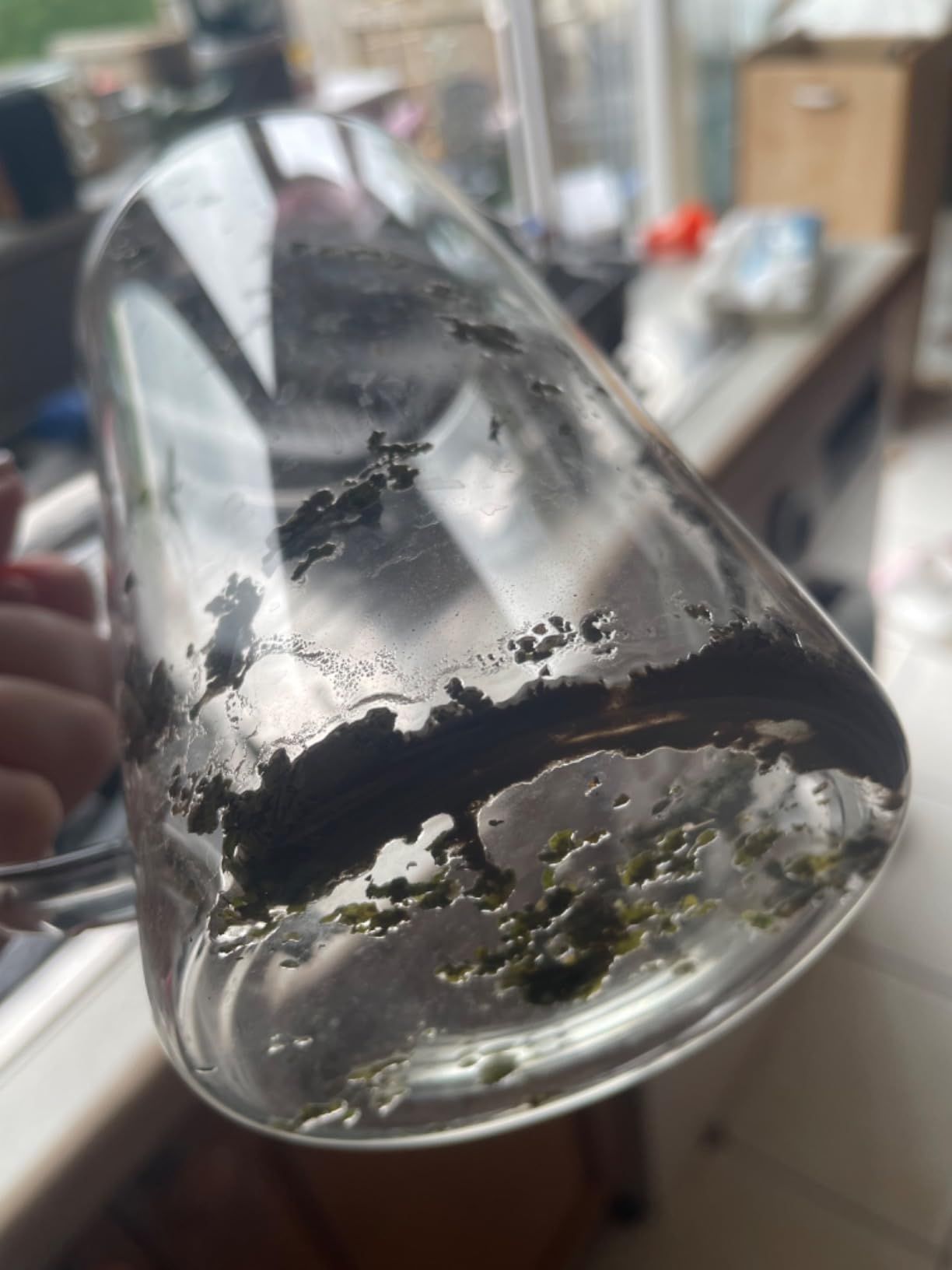 Tisane mélisse bio 100 g - infusion digestive et relaxante