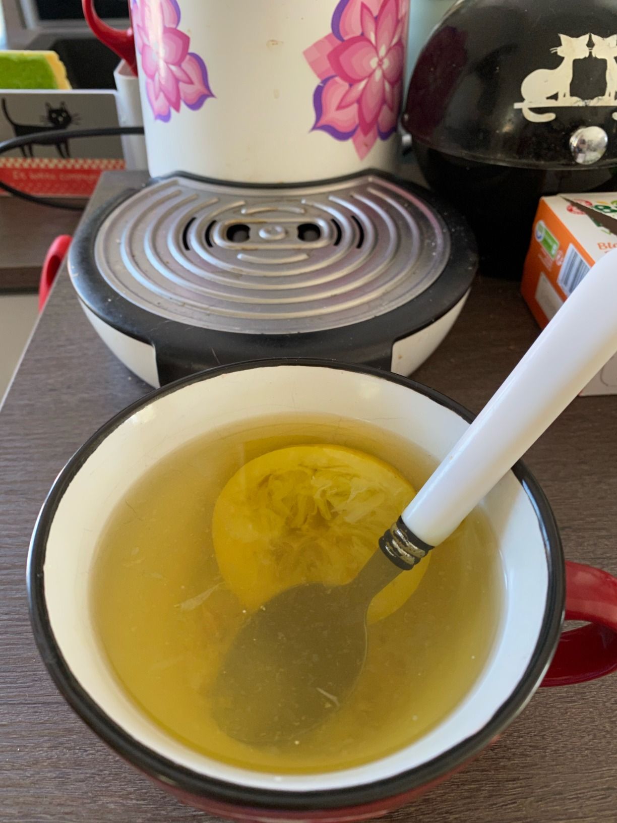 Thé vert bio Zou Chá pour le confort articulaire