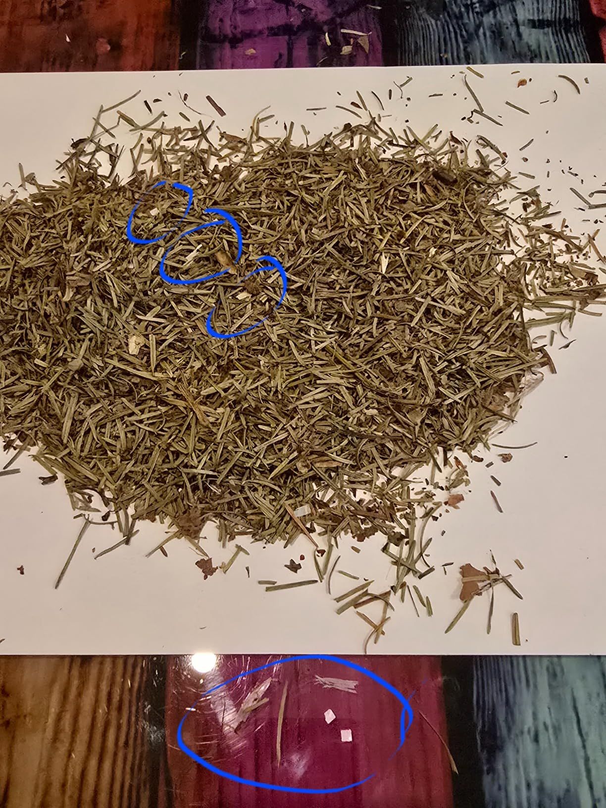 Infusion d'aiguilles de pin séchées 100g