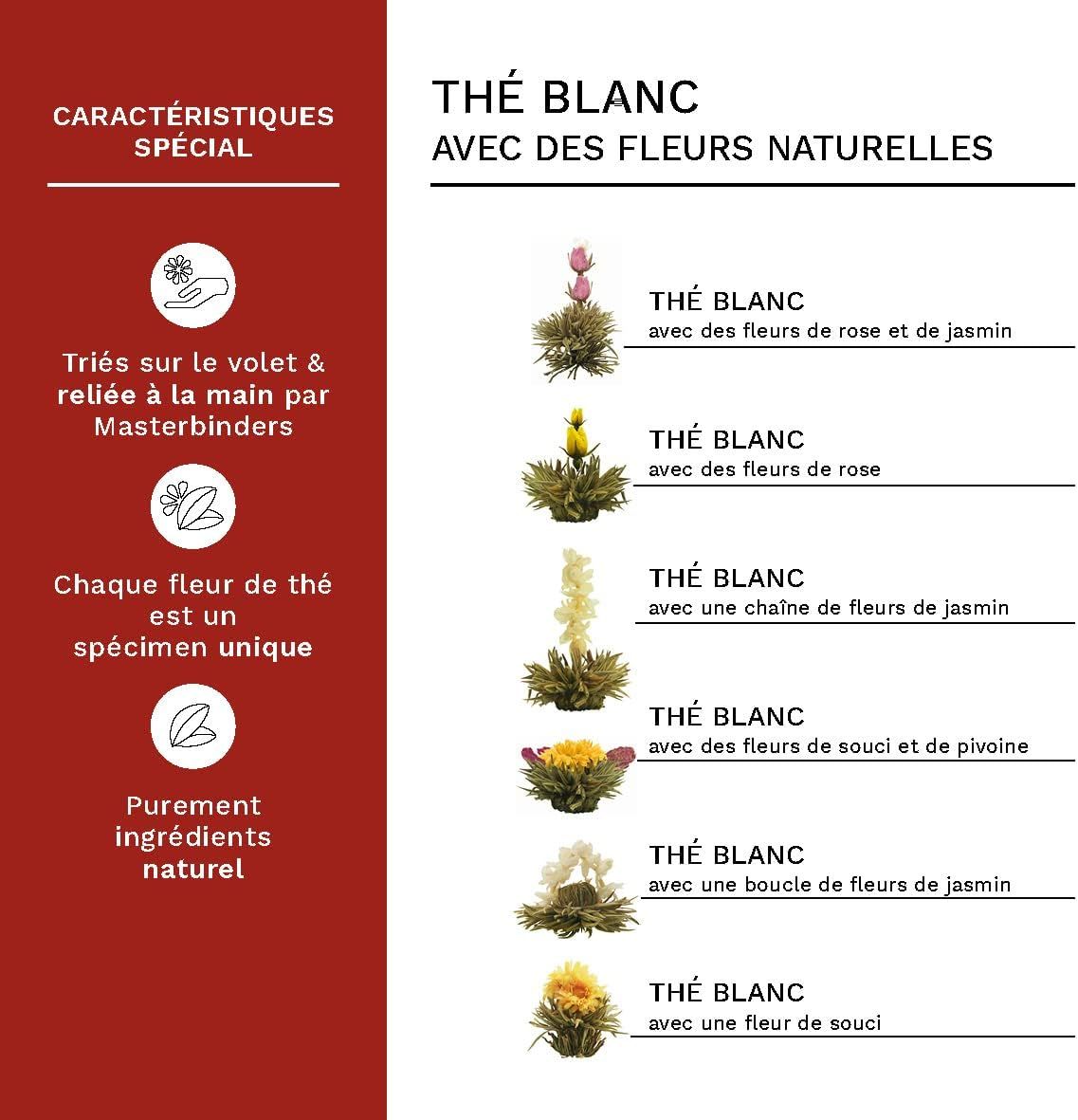 Creano Coffret „Thé en Floraison“ 6 thés de fleurs – Théière en verre 500ml sans goutte – 6 variétés de thé blanc – Idée cadeau exceptionnelle – Verre borosilicate