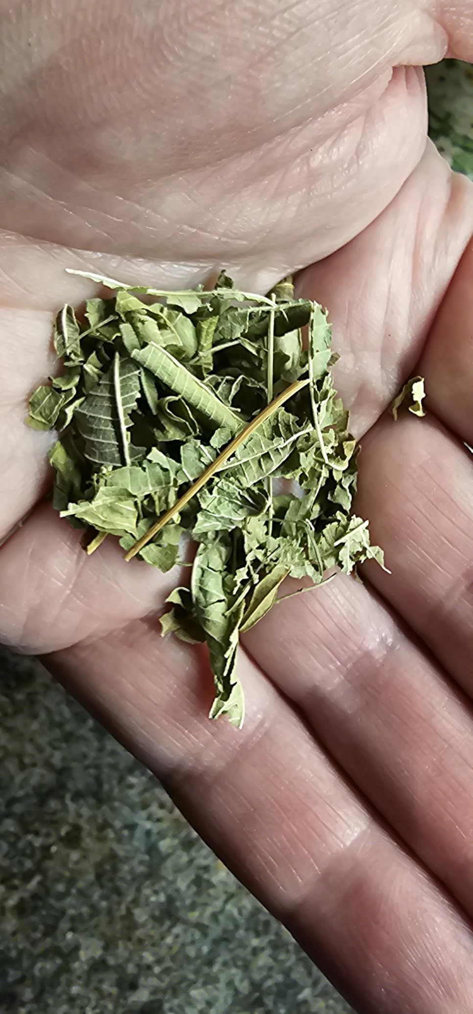 Tisane mélisse bio 100 g - infusion digestive et relaxante