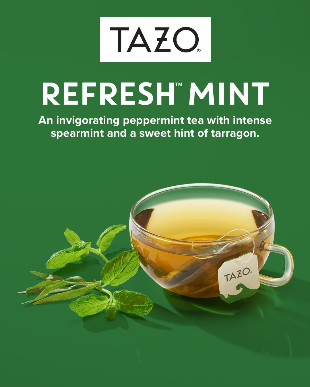 Culture du thé dans le monde - Cultivea Mini