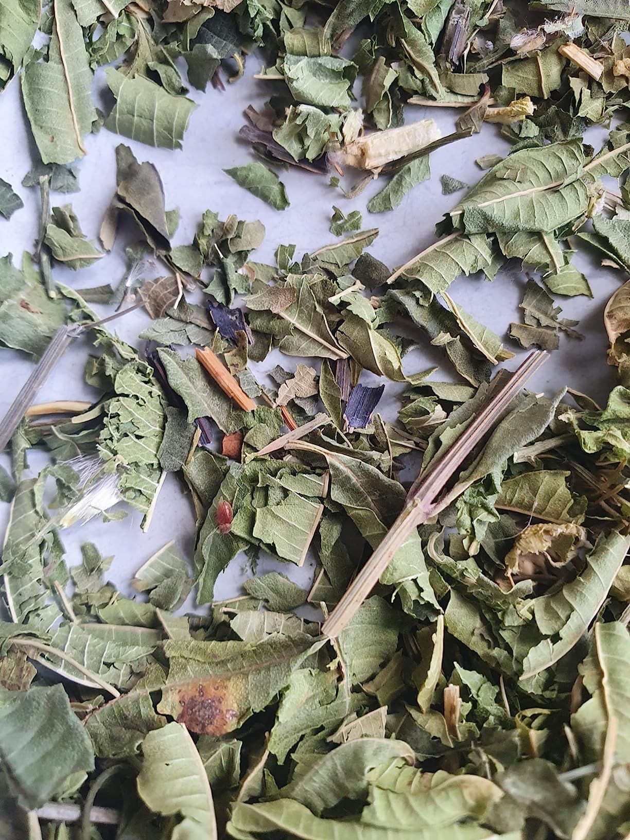 Tisane mélisse bio 100 g - infusion digestive et relaxante